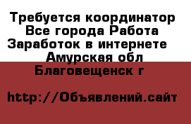 Требуется координатор - Все города Работа » Заработок в интернете   . Амурская обл.,Благовещенск г.